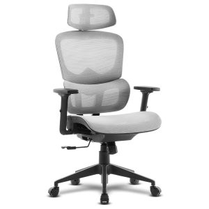 Cadeira de Escritório Ergonómica Offy Lyca Cinza/Preta